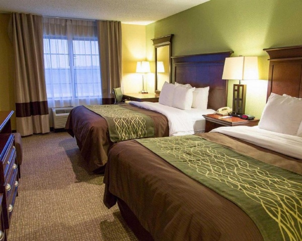 Comfort Inn Shreveport I-49 image 24